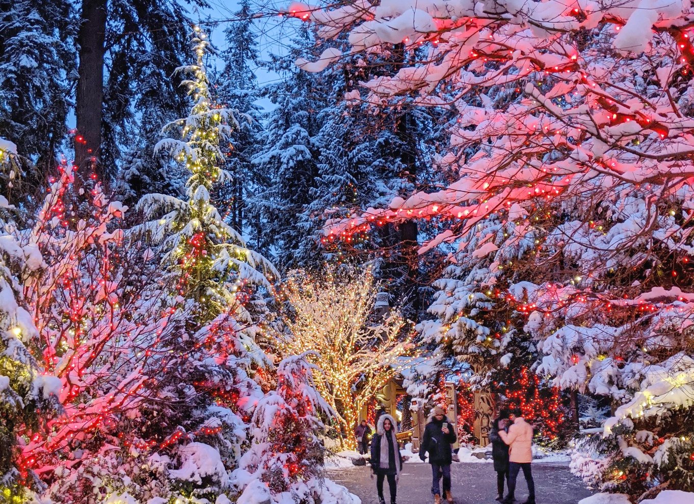 Vancouver: Capilano Suspension Bridge Park billet
