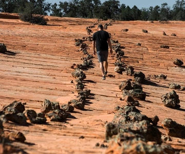 Kanab: Passeio de UTV com pictogramas antigos e dunas de areia