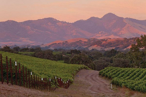 Vale de Santa Ynez: Visita ao vinho inspirada no filme Sideways