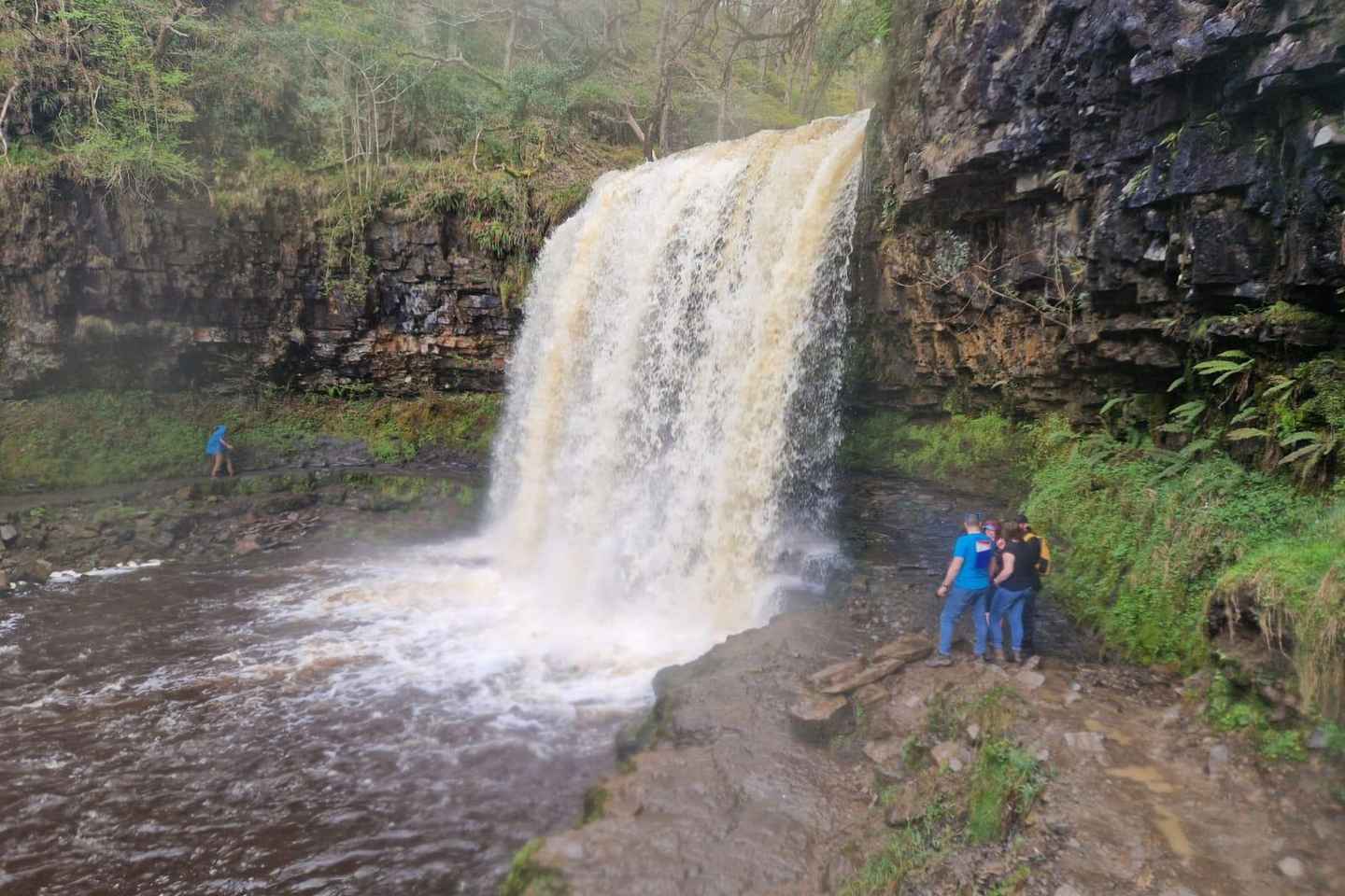 Escursione Guidata: Le 4 Cascate del Breacon Beacons in un Giorno da Cardiff