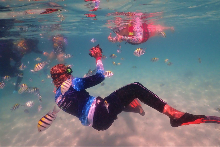 Snorkel &amp; Chill: wycieczka na wyspę Nemo z PattayaNurkowanie z rurką i relaks: wycieczka na wyspę Nemo z Pattaya