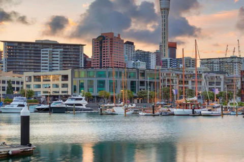 Auckland: Stadshotelvervoer van/naar cruiseschip in minibus