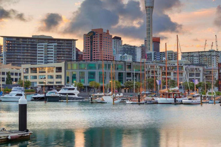 Auckland: Stadshotelvervoer van/naar cruiseschip in minibus