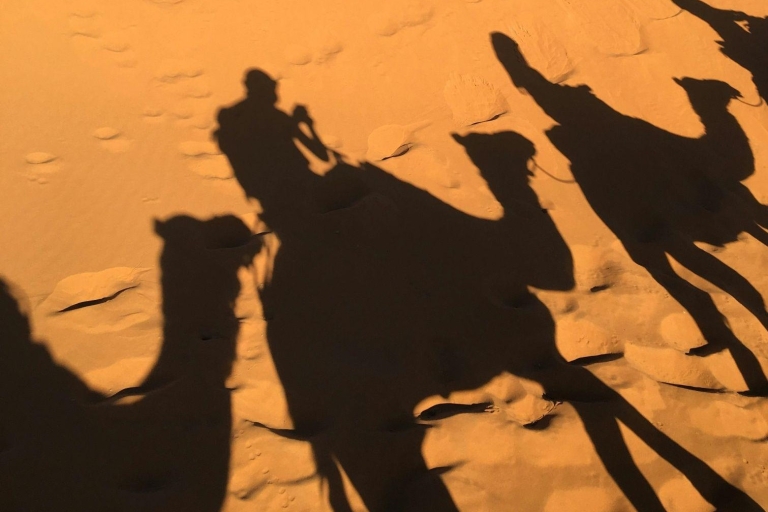 Magical dinner in agafay desert with camel ride Agafay desert dinner tour & quad ride or camel