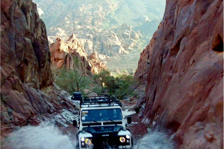 AlUla: Wadi AlDissah Hike and Safari with Lunch