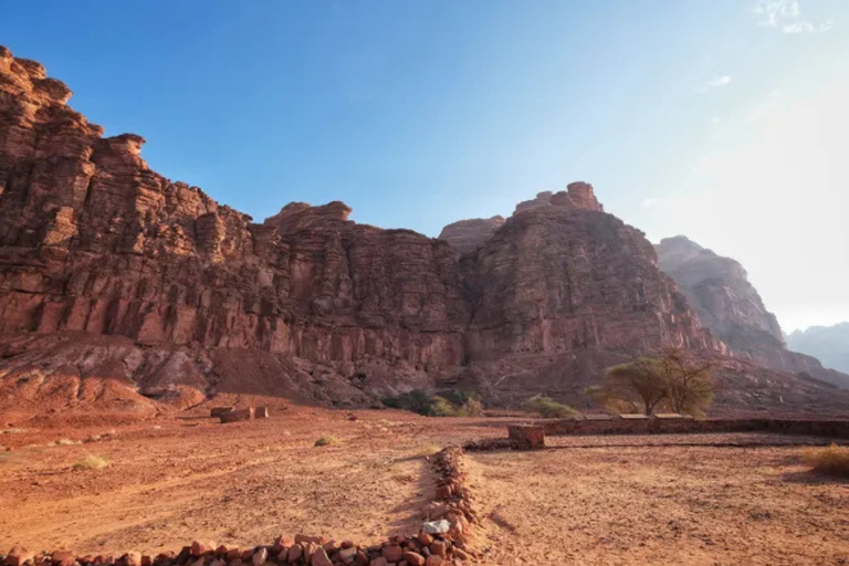 AlUla: Dadan & Jabal Ikmah Tour with Optional Hotel Transfer Dadan & Jabal Ikmah Tour with Private Hotel Transfer