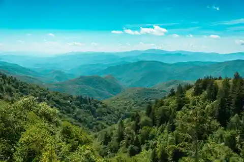 Pigeon Forge: Sights of the Smokies Guided Tour