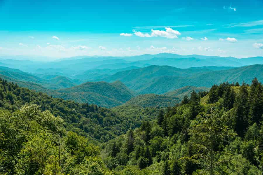 Pigeon Forge: Sights of the Smokies Guided Tour. Foto: GetYourGuide