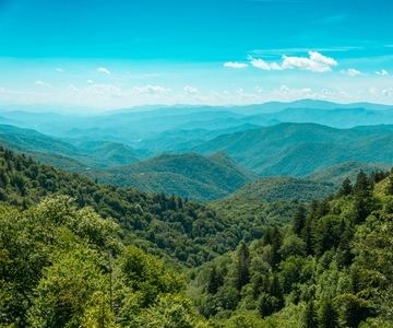 Pigeon Forge: Sights of the Smokies Guided Tour