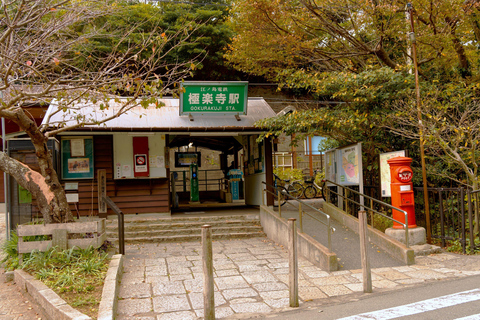 Tokyo: Enoshima, Kamakura, & Yokohama Tour (Enoden Included) Kamakura Y, from Shinjuku