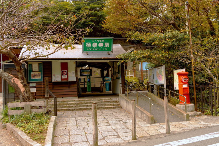 Tokyo: Enoshima, Kamakura, & Yokohama Tour (Enoden Included) Kamakura Y, from Shinjuku