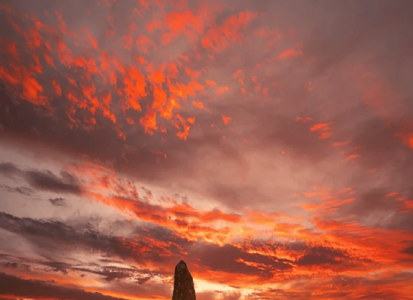 Perth: Solnedgang i Pinnacles-ørkenen og stjernekiggeri med middag