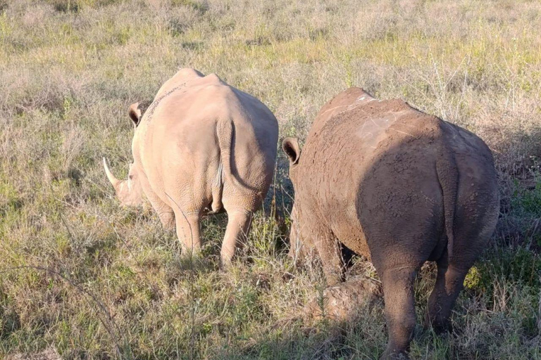 Nairobi: Ol Pejeta Day Tour from Nairobi