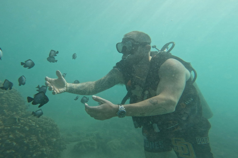 Honolulu : Tour d'initiation à la plongée sous-marine avec vidéos gratuites