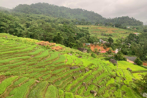 Von Hanoi nach Pu Luong 3 Tage unvergessliche ErlebnissePu Luong 3 Tage authentisches Land