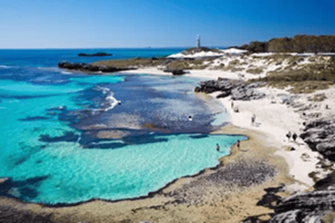 Rottnest Island Ferry and 1.75 Hr Bus Tour Rottnest Island Ferry and 1.75 Hr Bus Tour - No Pick up