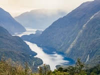 From Manapouri, Premium Doubtful Sound Wilderness Day Trip - Housity