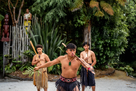 Desde Auckland Te Pā Tū Pueblo Maorí Tour Privado de un Día