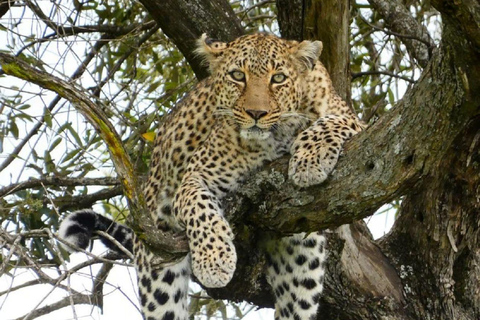 Lake Nakuru National Park Day Trip From Nairobi Lake Nakuru National Park From Nairobi