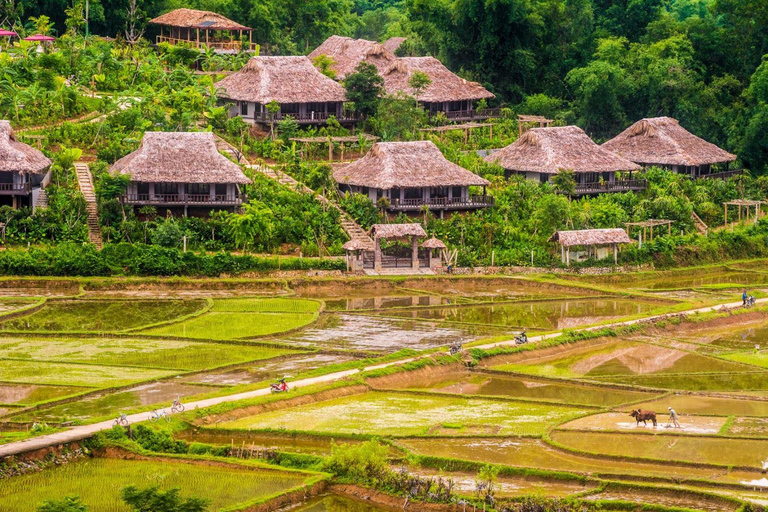 Hanoi/Ninh Binh: Mai Chau & Pu Luong 2-Day Trek & Local Life Option 3: Eco-Resort with Balcony Mountain view Room
