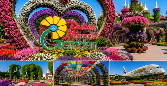 Dubai: Miracle Garden, Butterfly Garden with Options