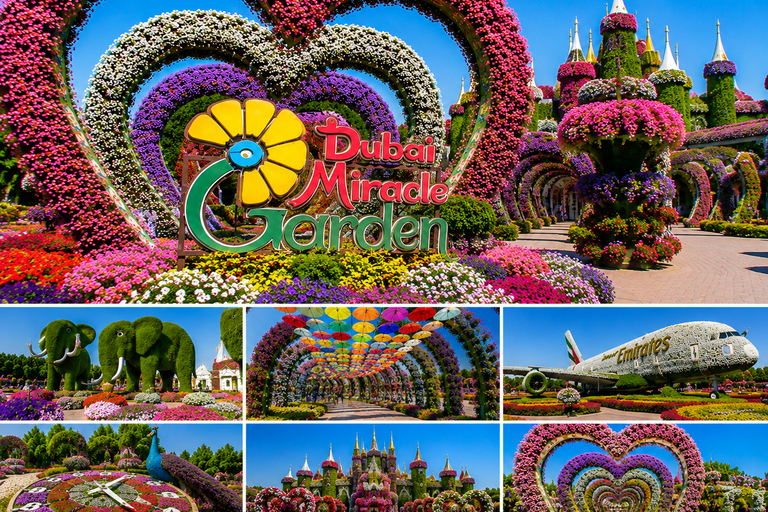 Dubai: Miracle Garden Tickets with Round-trip Transfer