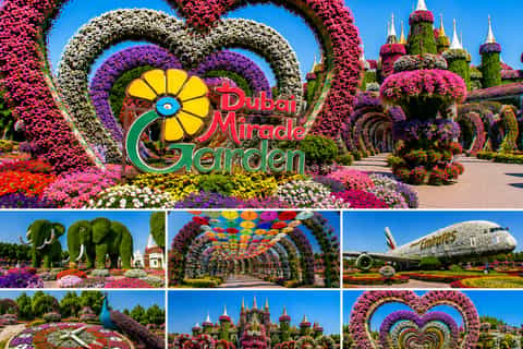 2026年ドバイの花畑＆祭りベストツアー - 無料キャンセル