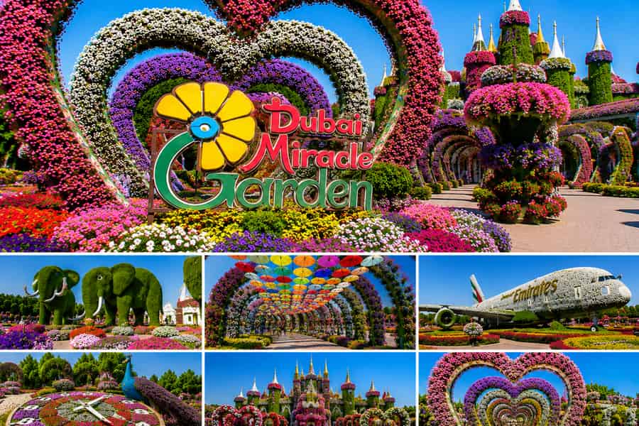 Dubai: Miracle Garden Tickets mit Hin- und Rücktransfer. Foto: GetYourGuide Dubai: Miracle Garden Tickets mit Hin- und Rücktransfer. Foto: GetYourGuide
