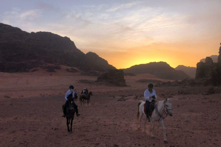 Wadi Rum: Solo Travelers Desert Adventure with Dinner
