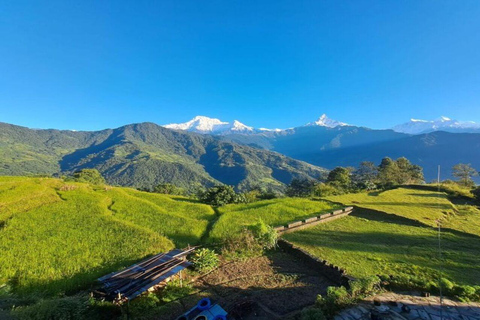 Pokhara : Facile escursione di un giorno a Dhampus e al villaggio di Astam