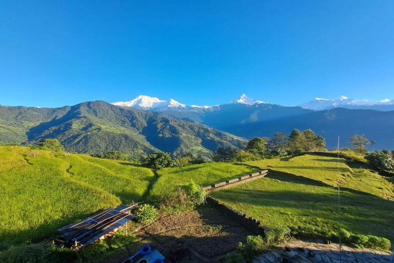 Pokhara : Journée de randonnée à Astham et au village de Dhampus