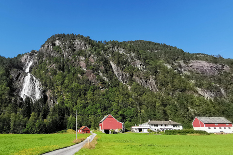 Tour de día completo privado a Flåm