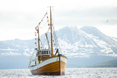 Tromsø : Croisière sur les fjords et l'histoire