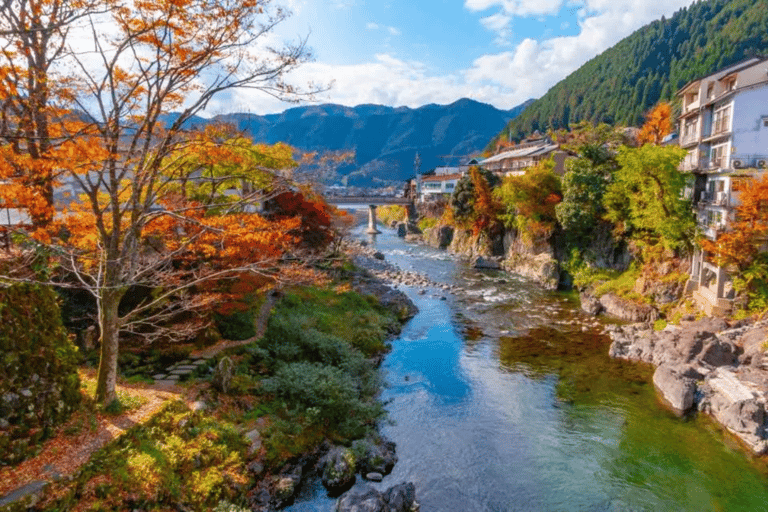 Visite à la journée de Shirakawago&amp;HidaTakayama&amp;GujoHachiman depuis Nagoya