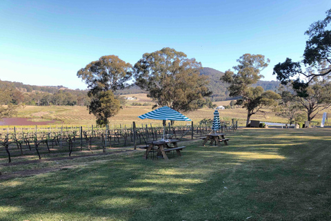 Depuis Haymarket : Excursion d&#039;une journée dans la Hunter Valley pour découvrir les vins et la faune