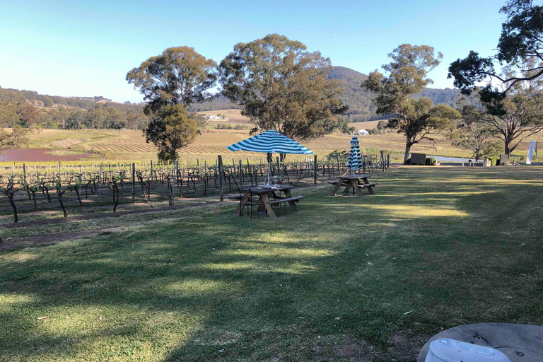 Depuis Haymarket : Excursion d&#039;une journée dans la Hunter Valley pour découvrir les vins et la faune