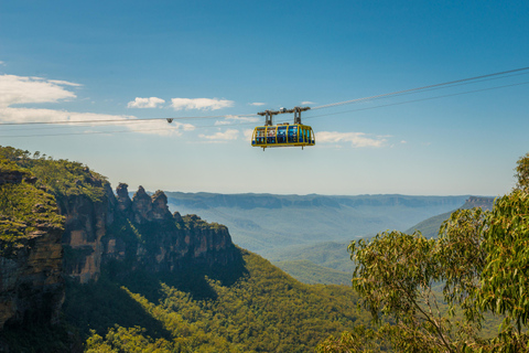 Blue Mountains: Mundo cênico, balsa, zoológico e foto de coala