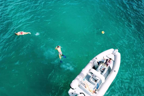 St. Martin: Snorkeling Day Trip by Boat to Tintamarre and Creole Rock St. Martin: Snorkeling Boat Excursion to Tintamarre and Creole Rock