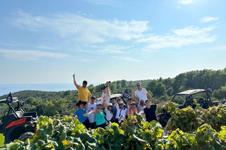 Korcula Buggy Safari — Beaches, Vineyards & Tastings