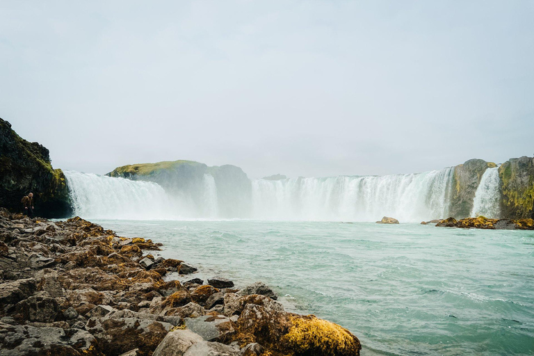 PRIVATO Akureyri: cascata Godafoss, Laufas e laguna della forestaVeicolo 1-8 persone