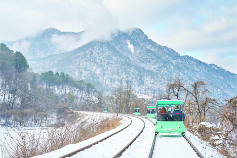 Seoul: Strawberry Picking & Eobi Ice Valley & Nami Island 5. Strawberry Picking & Eobi Ice Valley & Snow Sledding