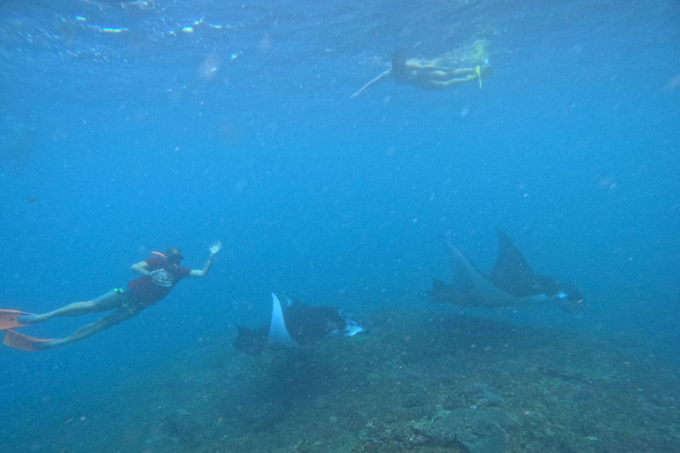 Bali: Excursión a Nusa Penida con Almuerzo y Snorkel en Manta PointBali Excursión de un día a Penida con almuerzo y buceo en Manta Point