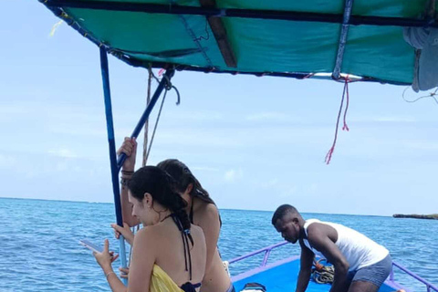 Diani Beach: Kisite Marine Park & Wasini Island Day Trip