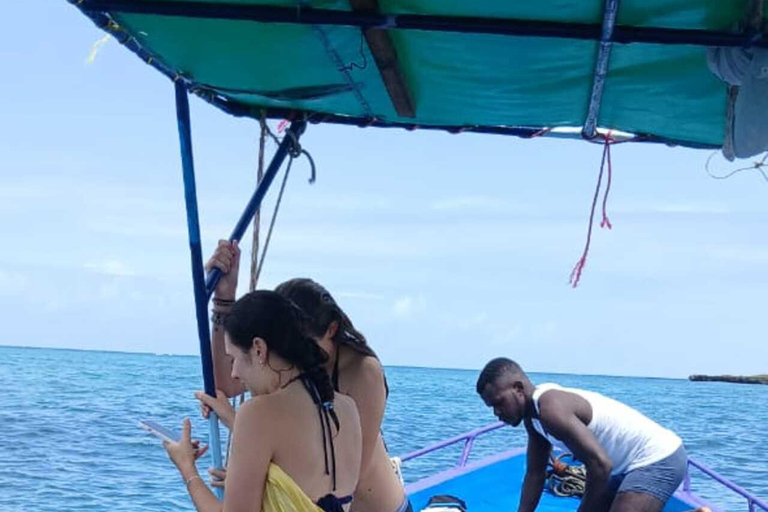 Diani Beach: Kisite Marine Park & Wasini Island Day Trip