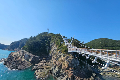 Busan: Private Customized Tour with Licensed Guide & Vehicle 4-hour private tour with a exclusive vehicle