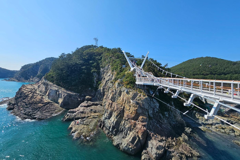 Busan: Private Customized Tour with Licensed Guide & Vehicle 4-hour private tour with a exclusive vehicle