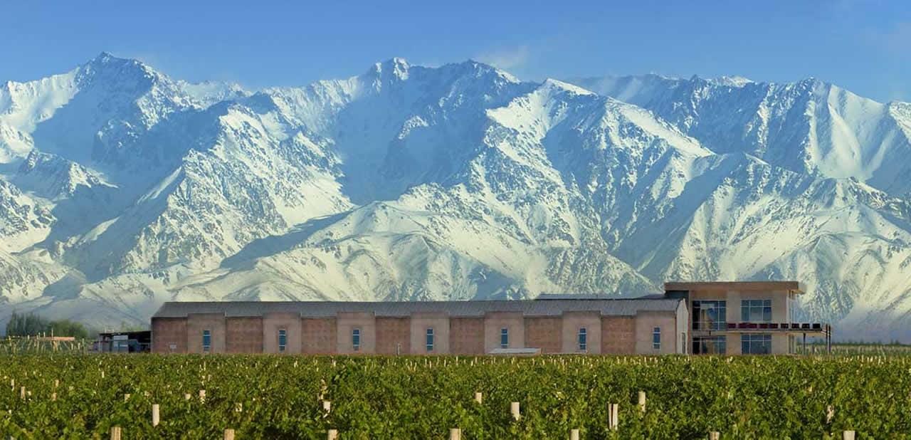 Ab Mendoza: Weingut-Tour im Uco-Tal mit Mittagessen und Verkostung