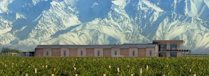 Depuis Mendoza : visite de la cave de la vallée de l'Uco avec déjeuner et dégustation