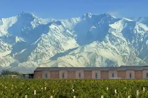 From Mendoza: Uco Valley Winery Tour with Lunch and Tasting