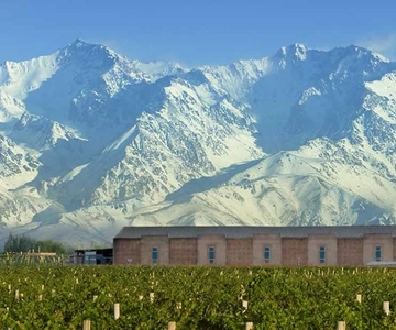 A partir de Mendoza: Excursão às adegas do Vale do Uco com almoço e degustação